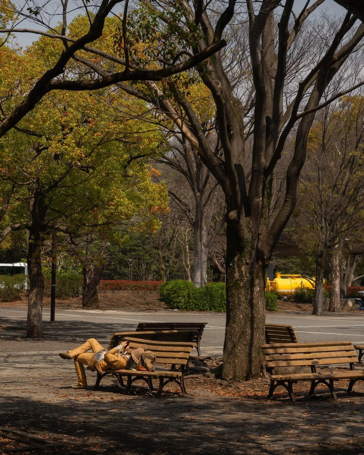 Near Yoyogi Park, naps