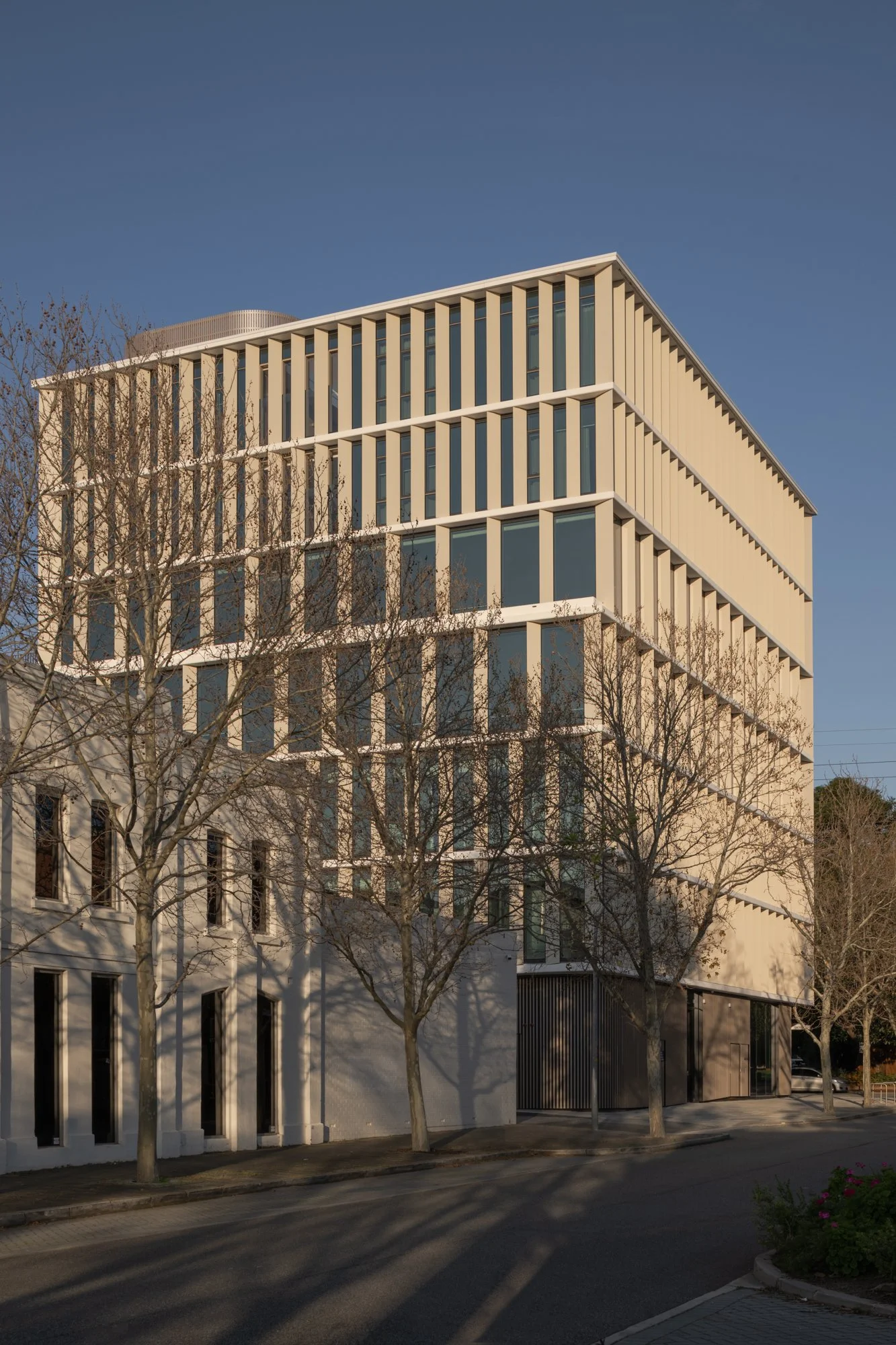 20240911_RUAH_architectus_DR-187_LR.jpg