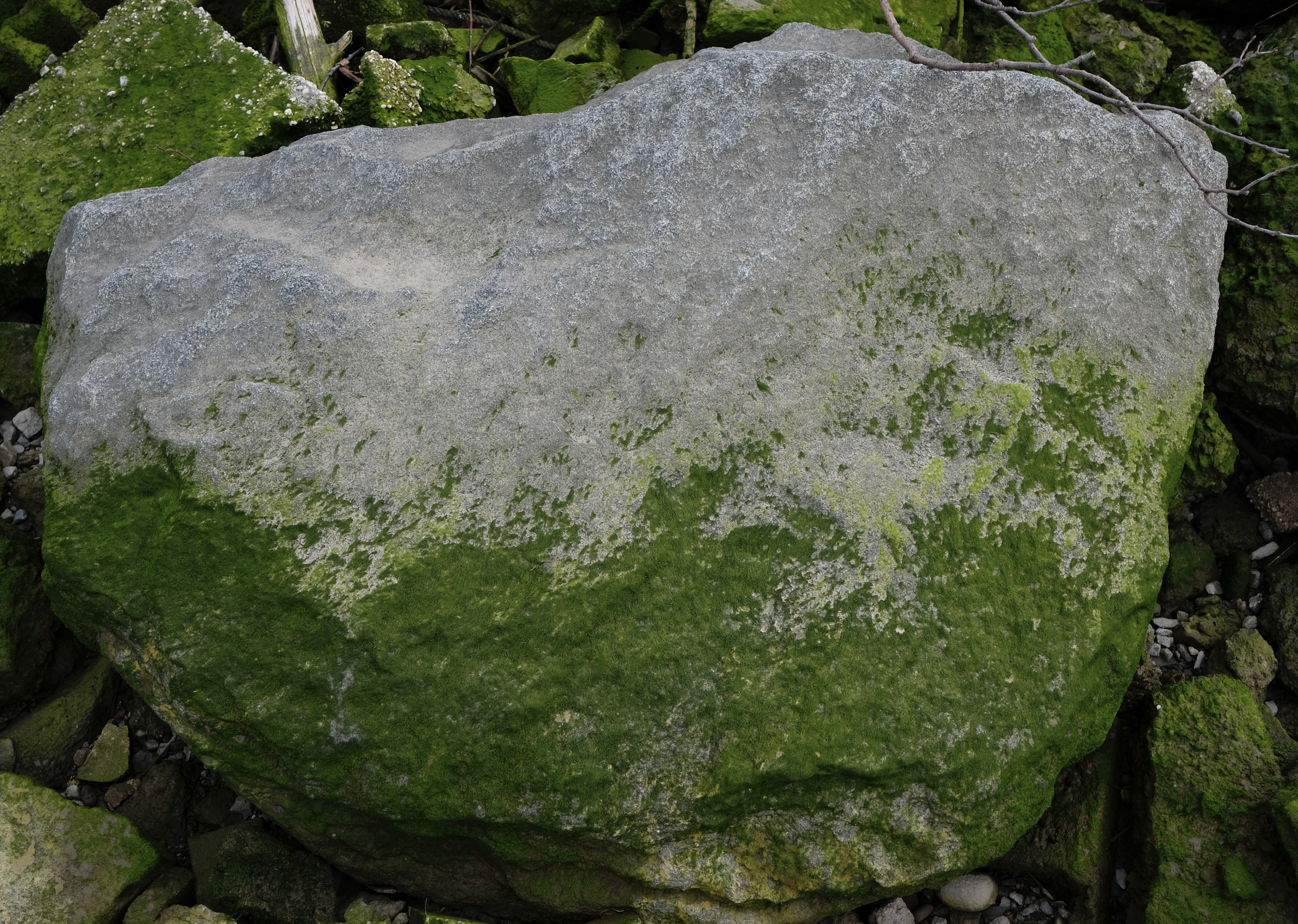 Screen Shot 2022-05-26 at 9.45.24 PM.png