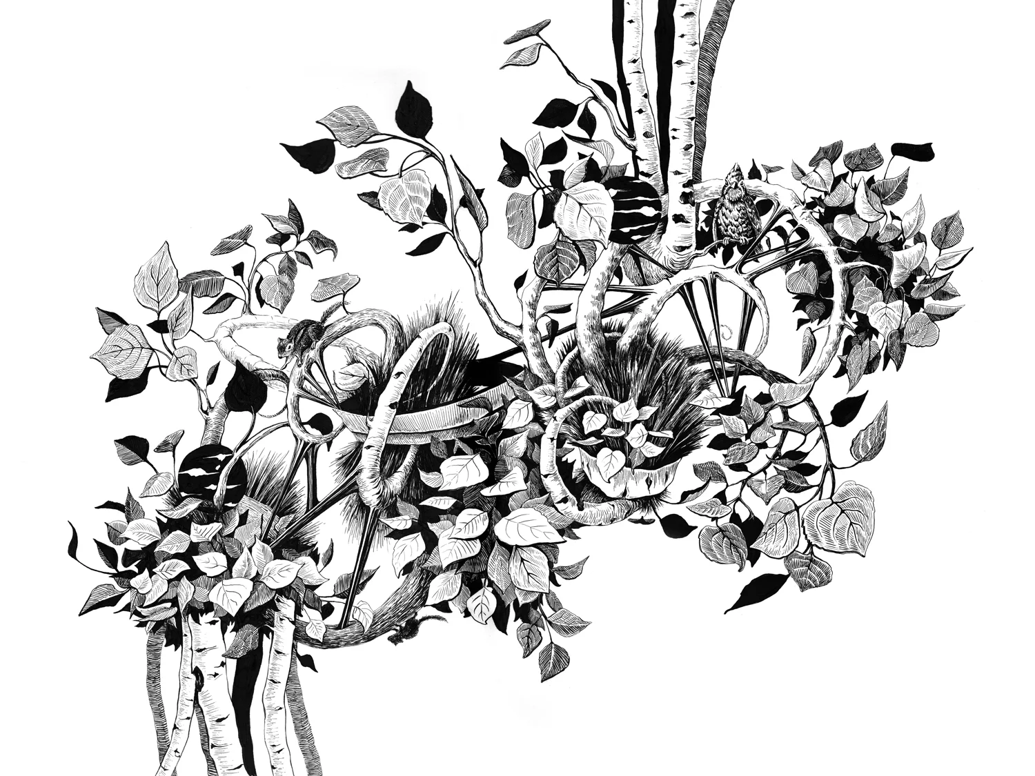 Botanica_Previte_Web.jpg