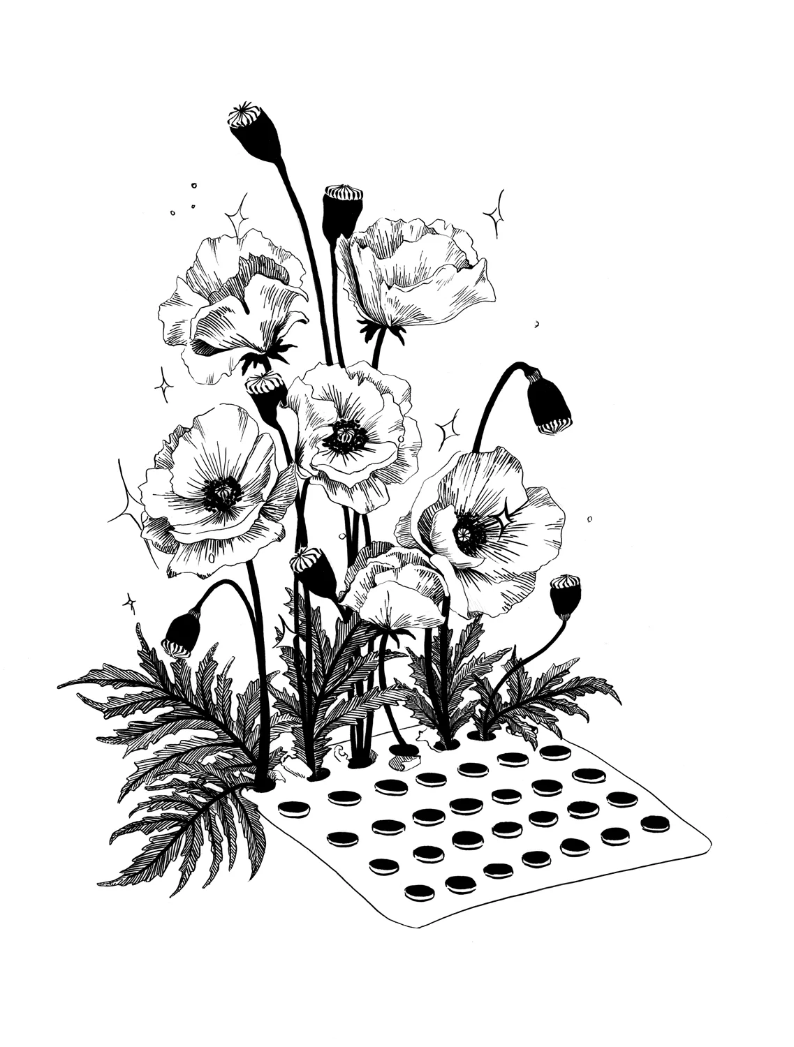 Rumpus_RememberYou_Poppies.jpg