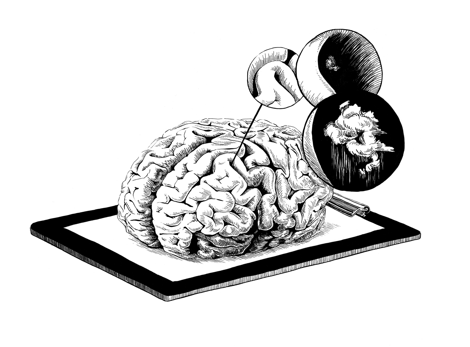 Rumpus_RememberYou_Brain.jpg