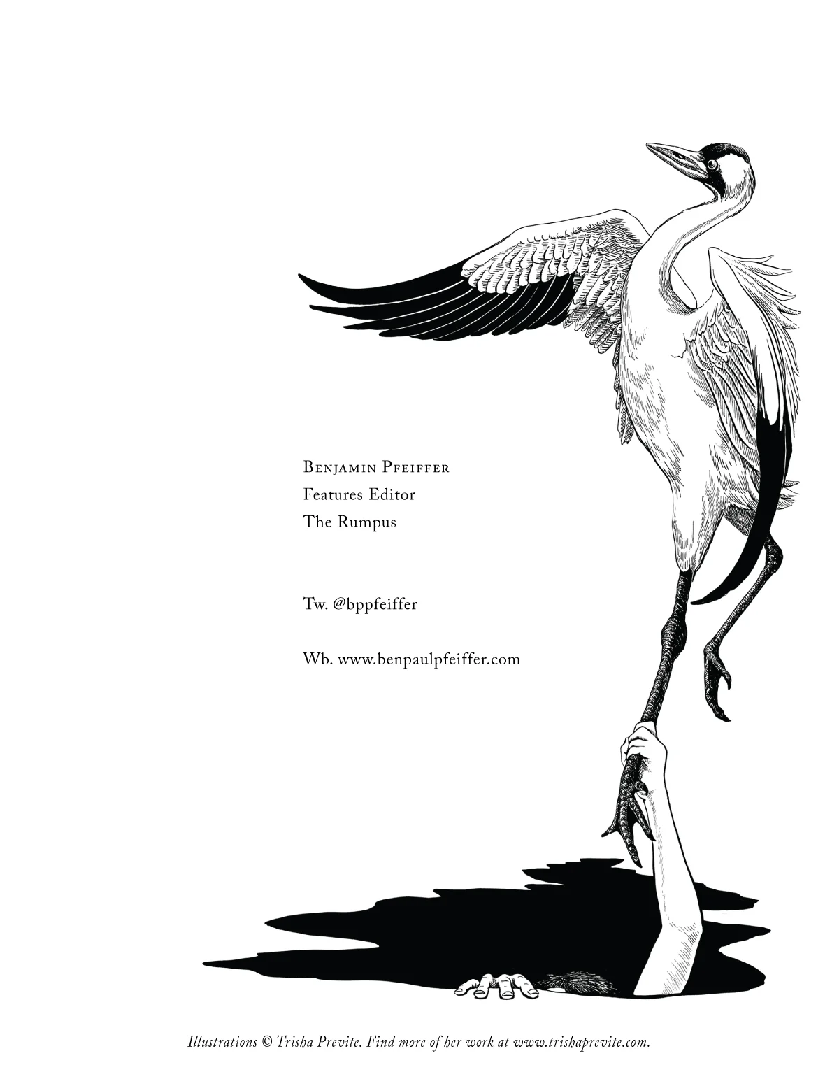 Previte_Letters in the Mail_Crane.jpg