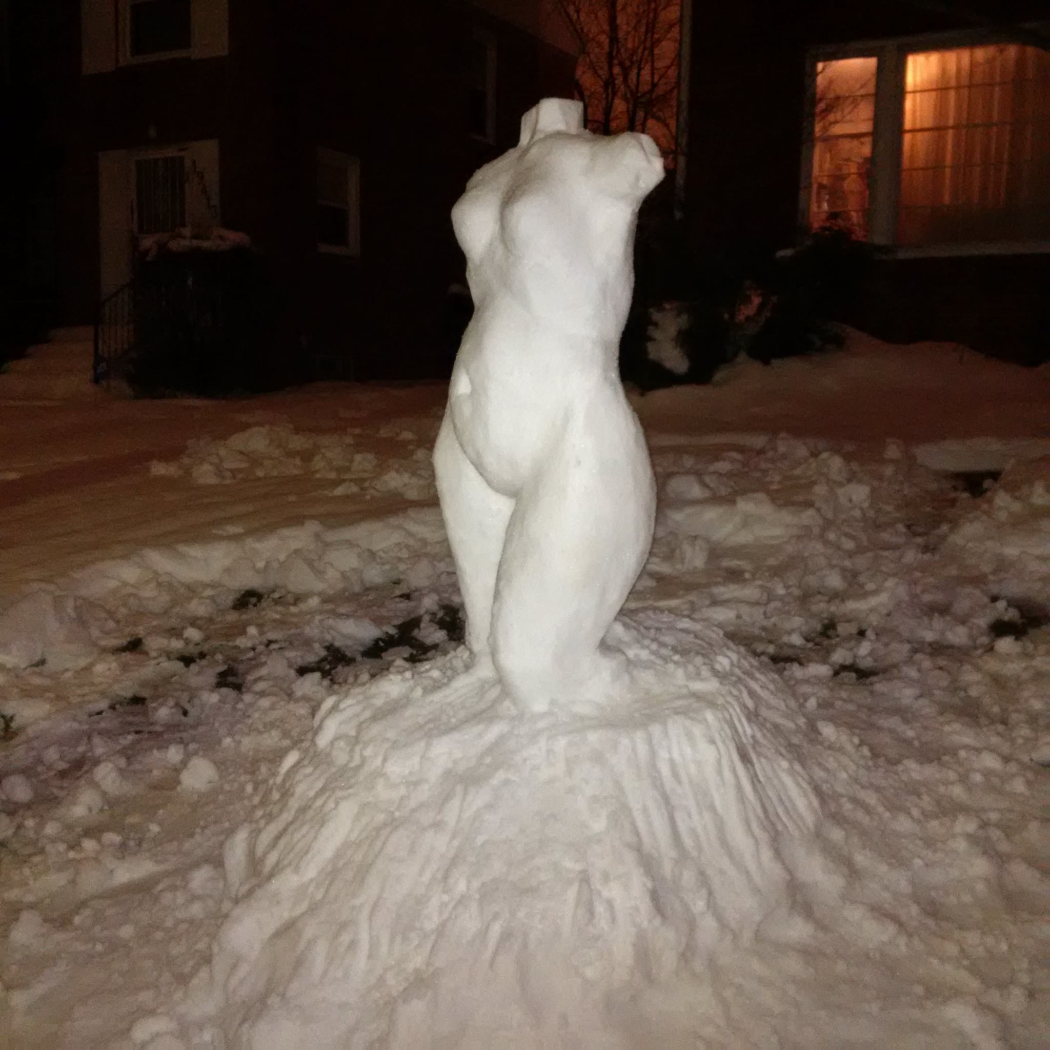 Venus in the Snow