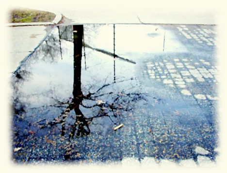 puddle_photo_graphic.jpg