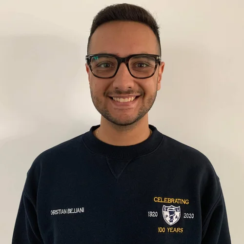 Christian Bejjani, NAPSA Councillor