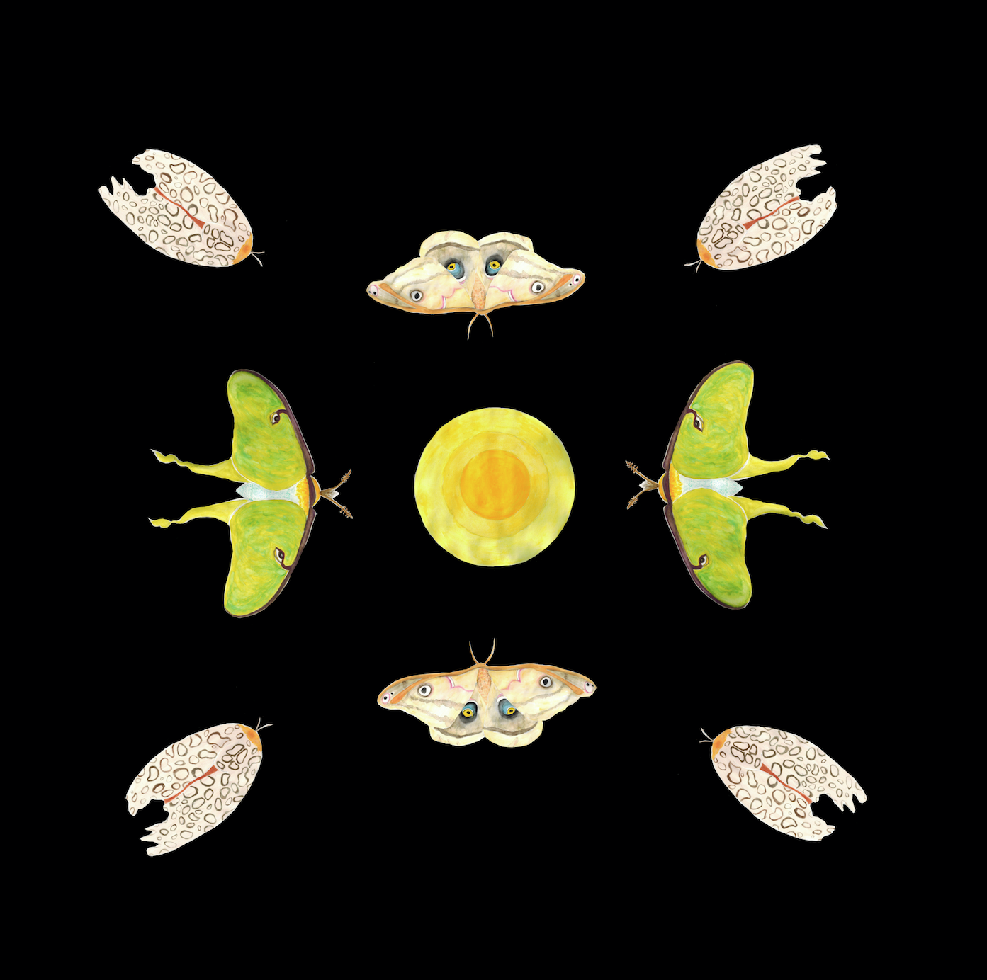 Screen Shot 2017-12-04 at 9.48.46 PM.png