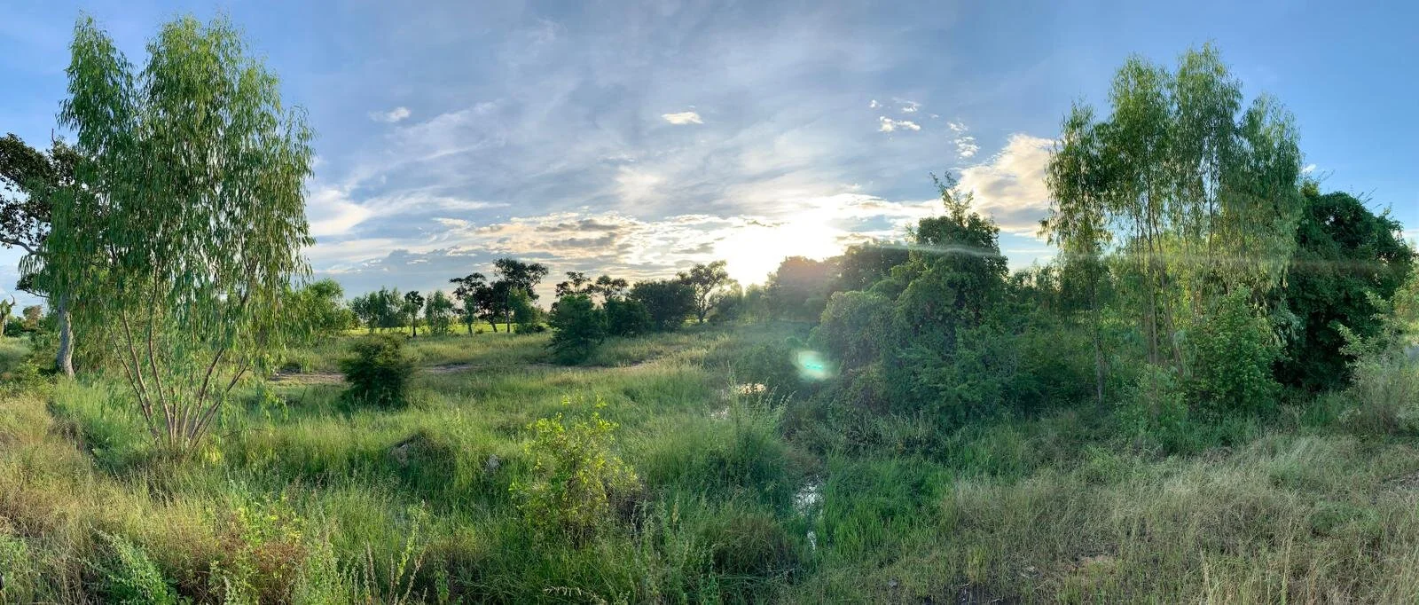 We Bought the Land!