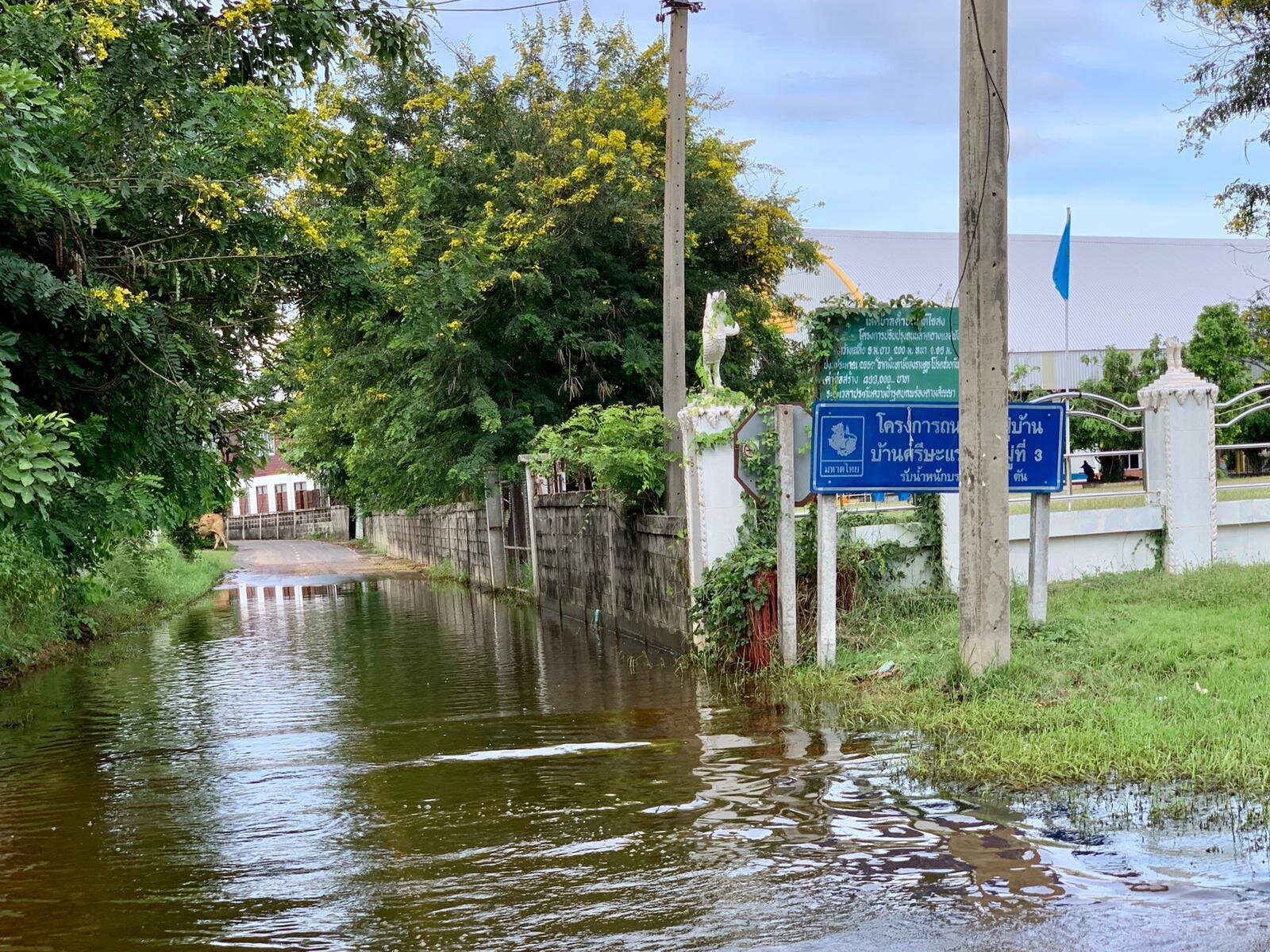 Flooding in Isaan (1).jpeg