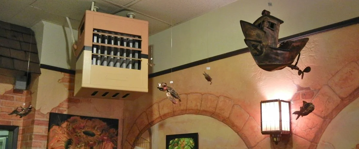 Sea Angel & Sea Turtle