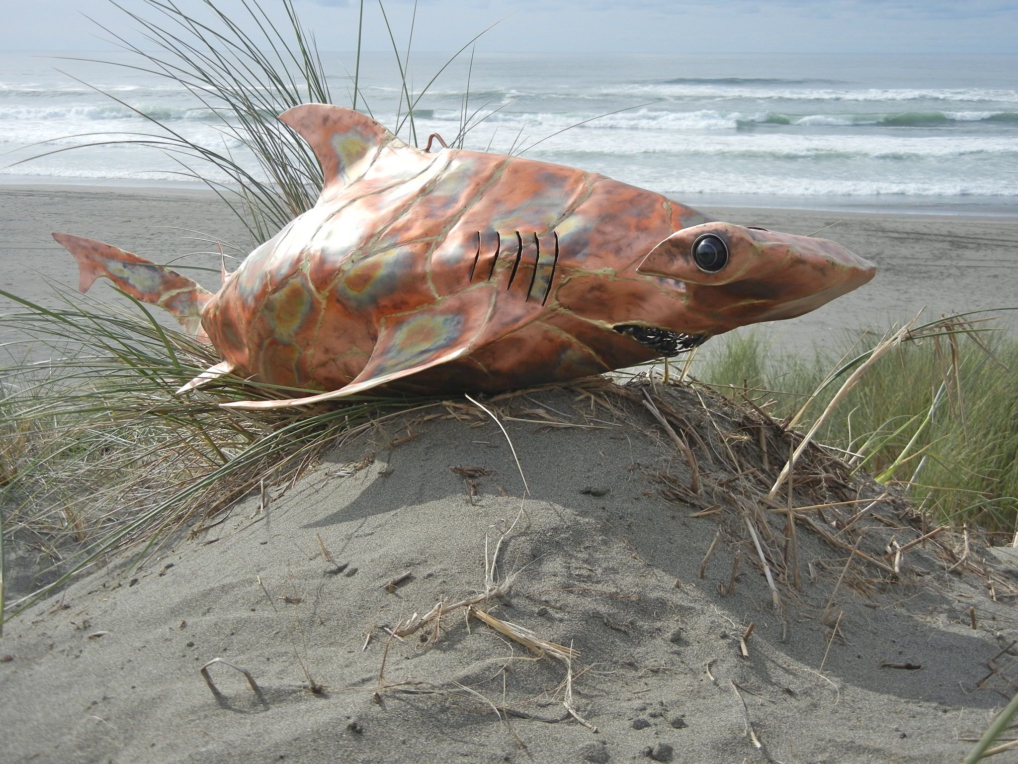 DSCN3180.jpg