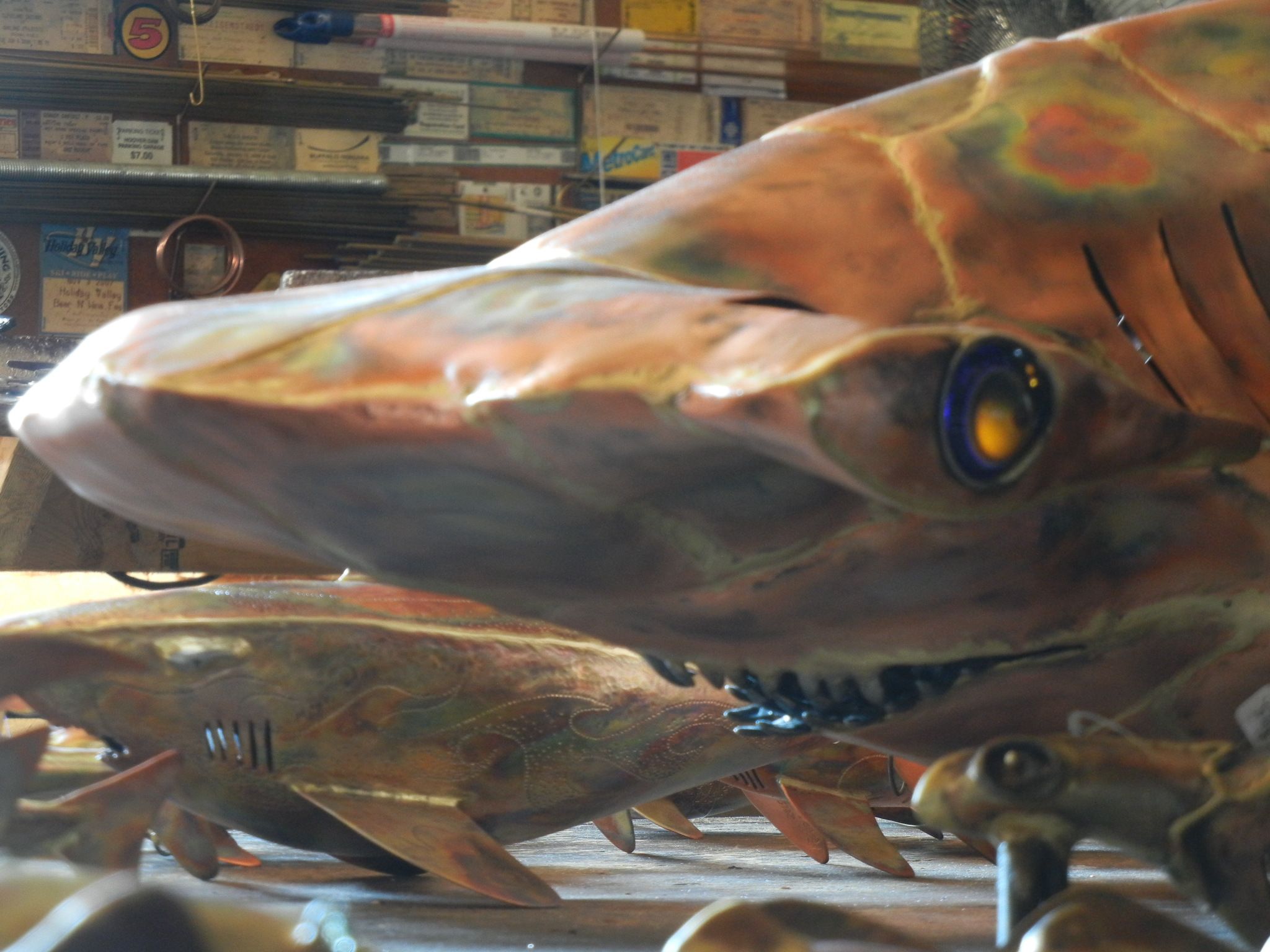 DSCN3236.jpg