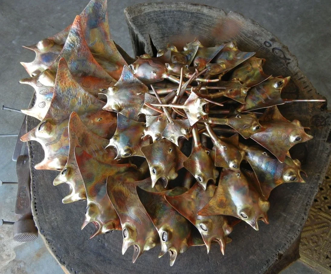 From big to small, all different and spectacular colors