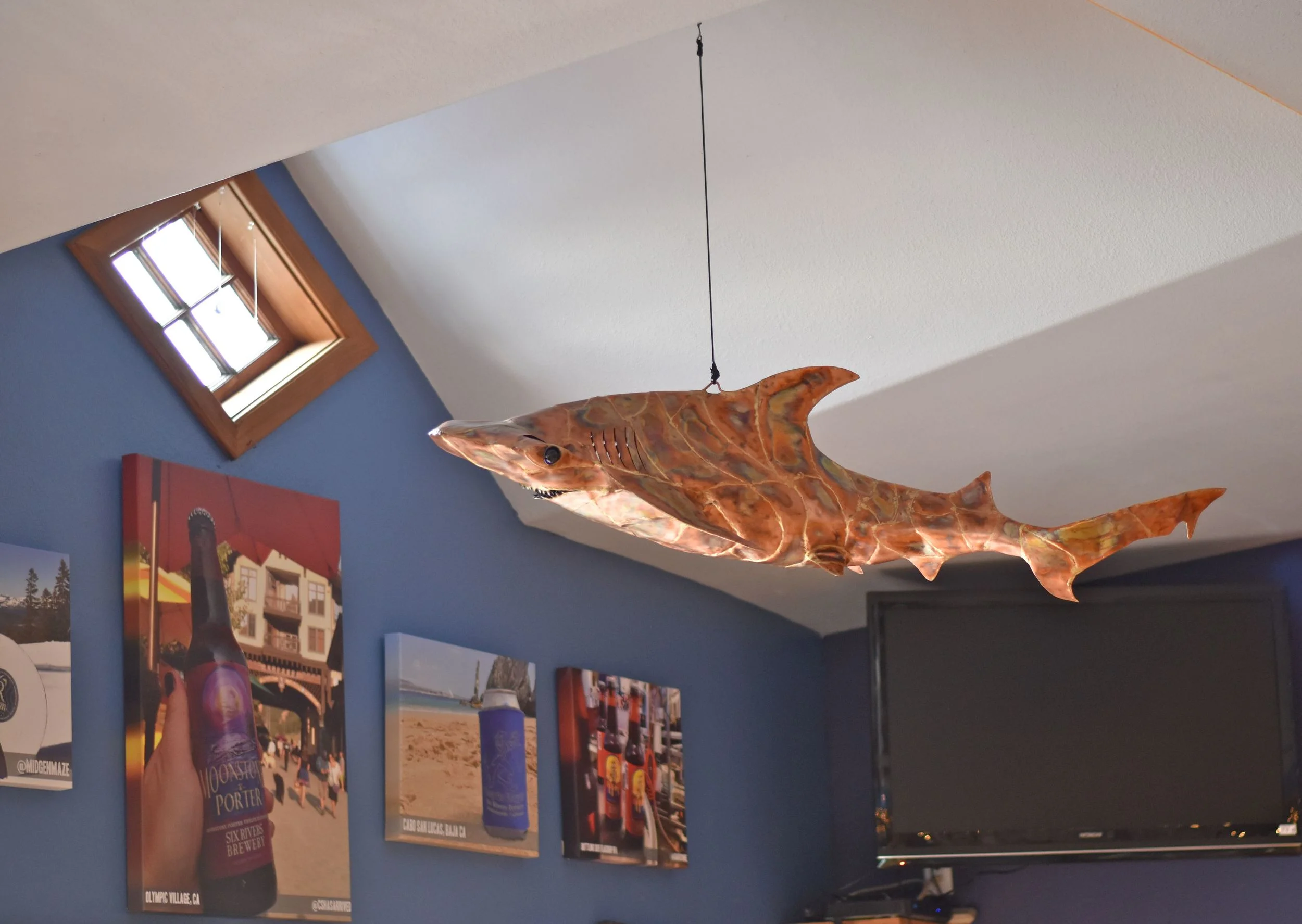 Sharky the HammerHead - 6 Rivers Brewery swim tank