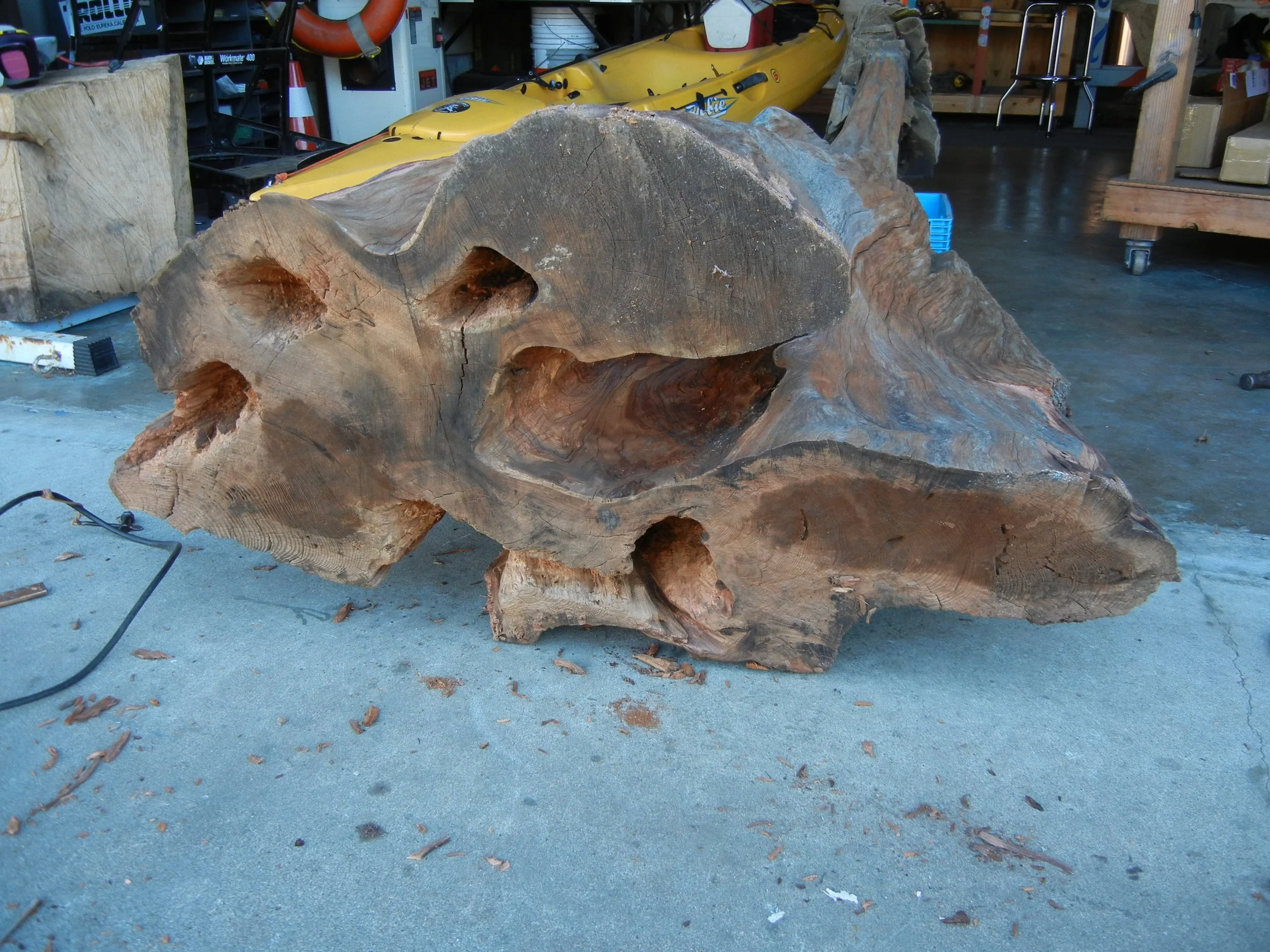 Rot & Spider removal complete