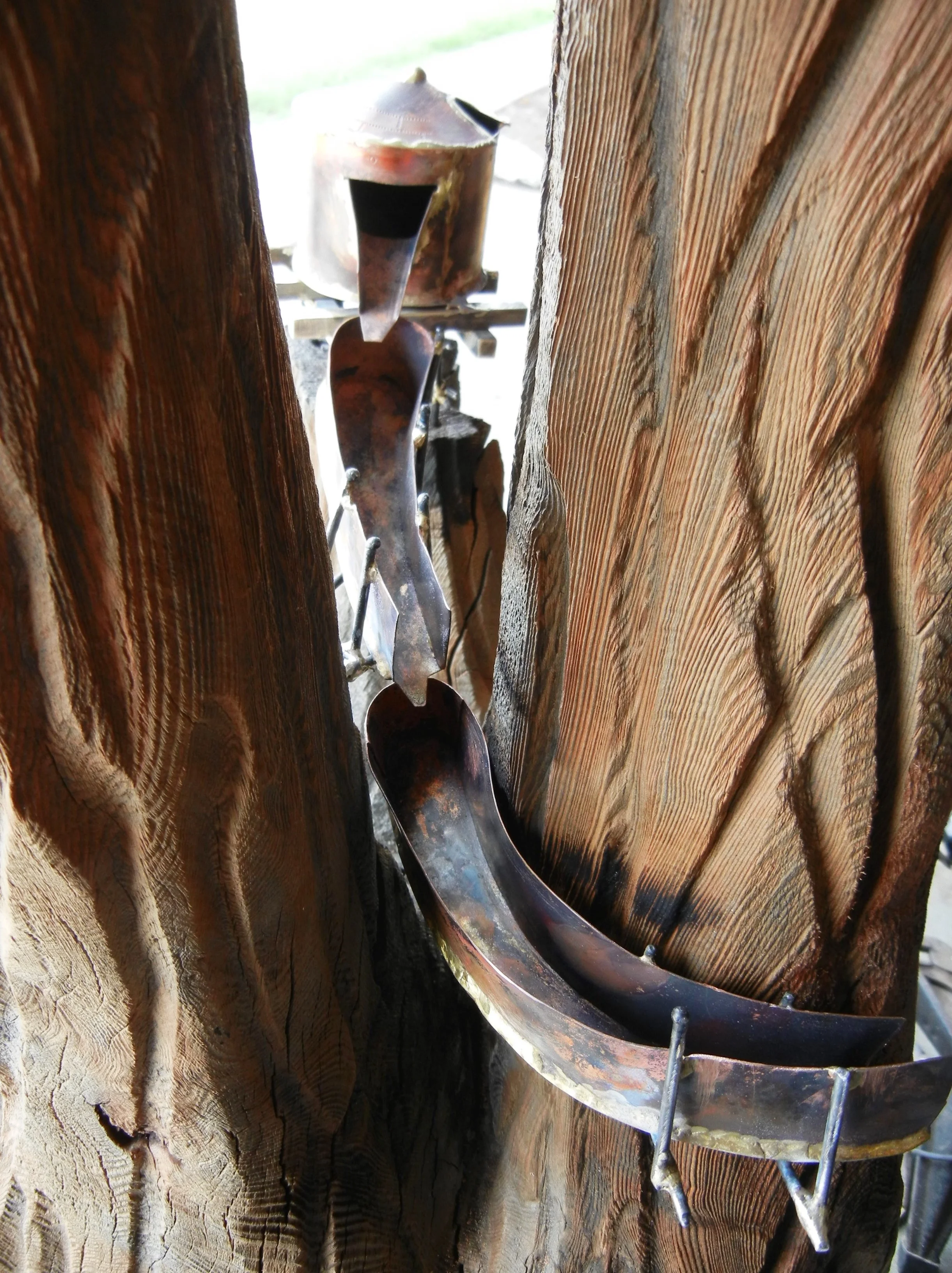 Hello Giant Redwood, ~ yes...