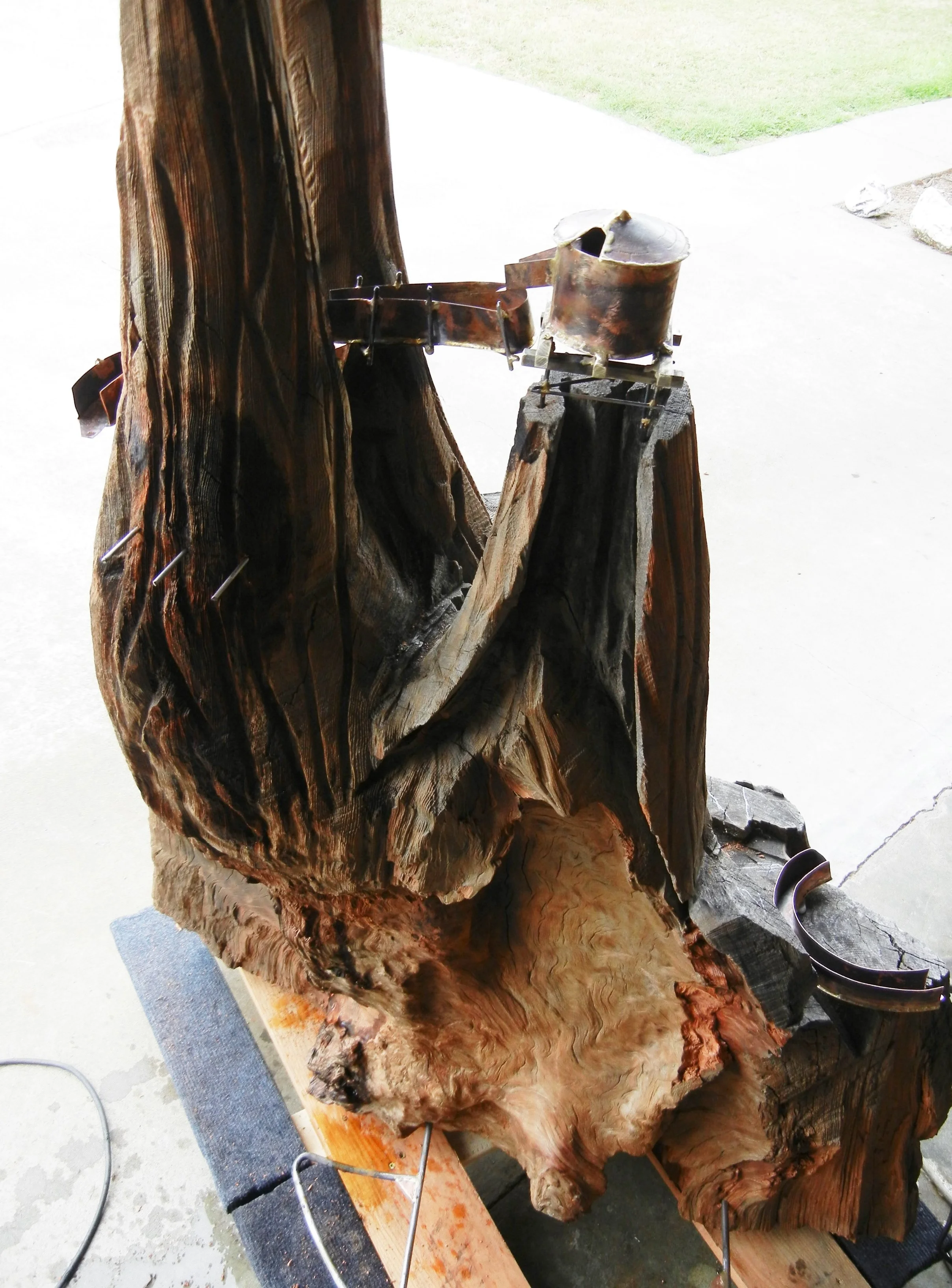 Gotta love old growth Redwood