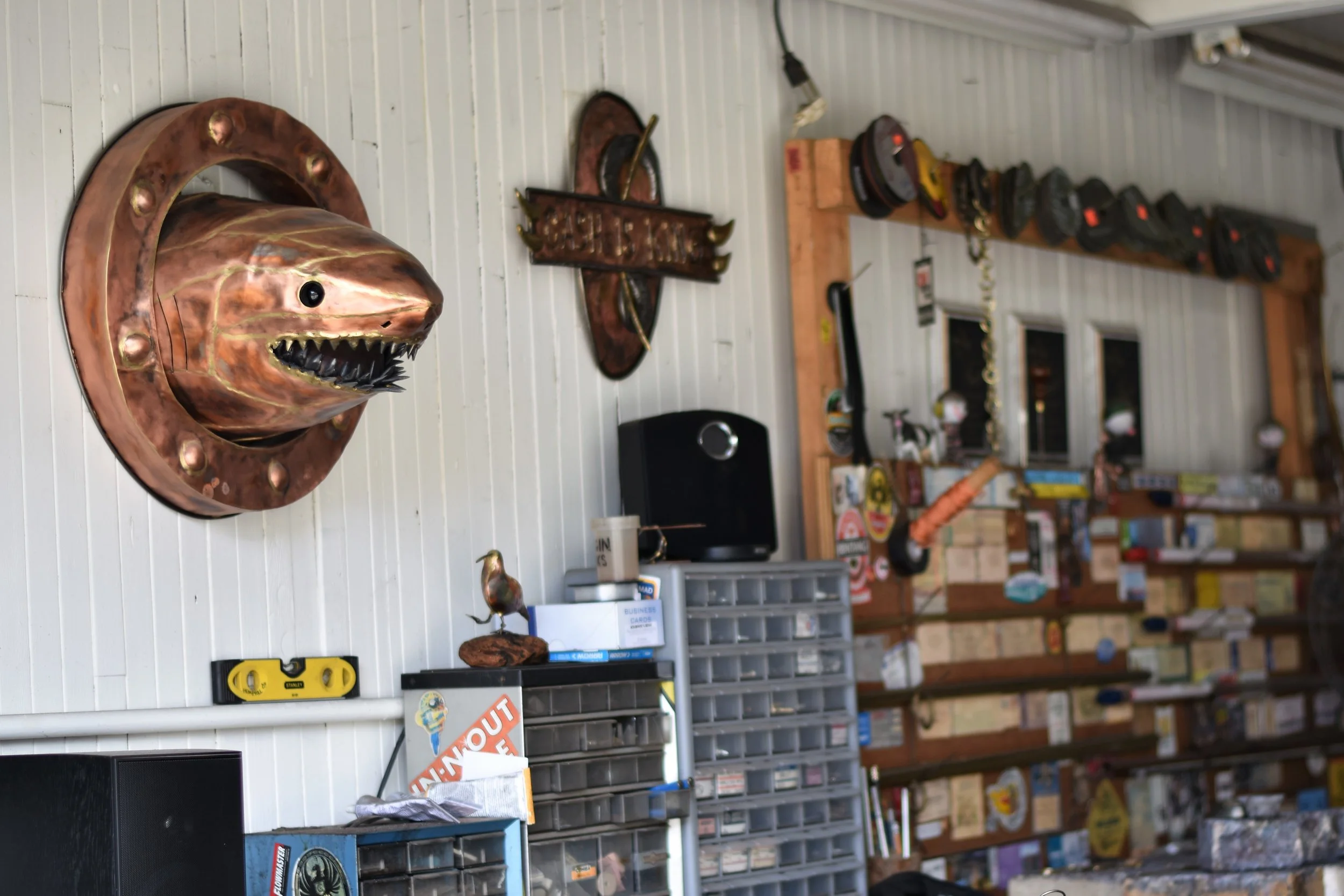 North Coast Open Studios - Last day Sunday June 11