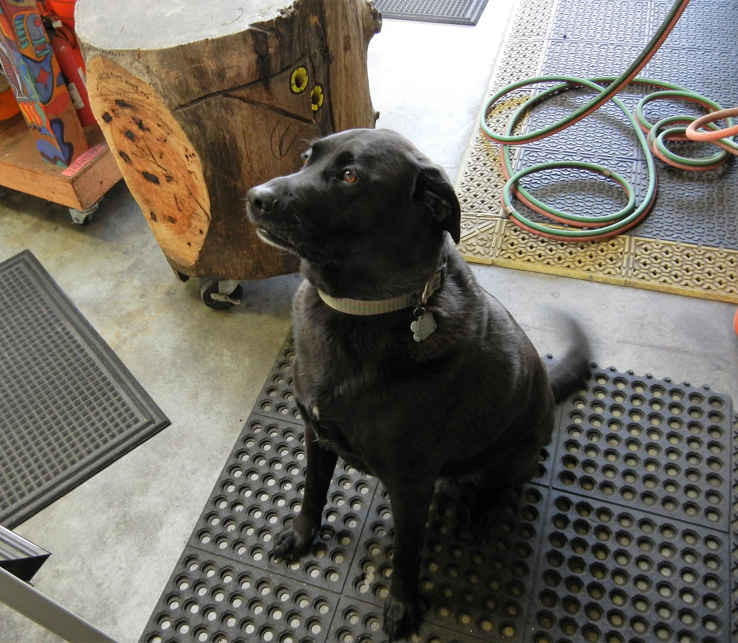 Dog Biscuit Dispenser — Scott Hemphill Copper Artist