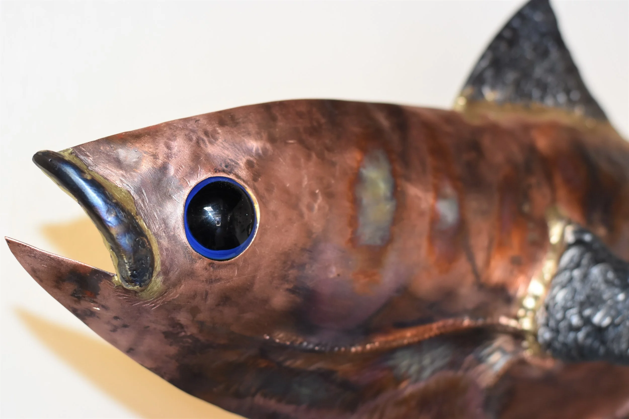 Welcome to "Yellow Fin Fish Tale"  