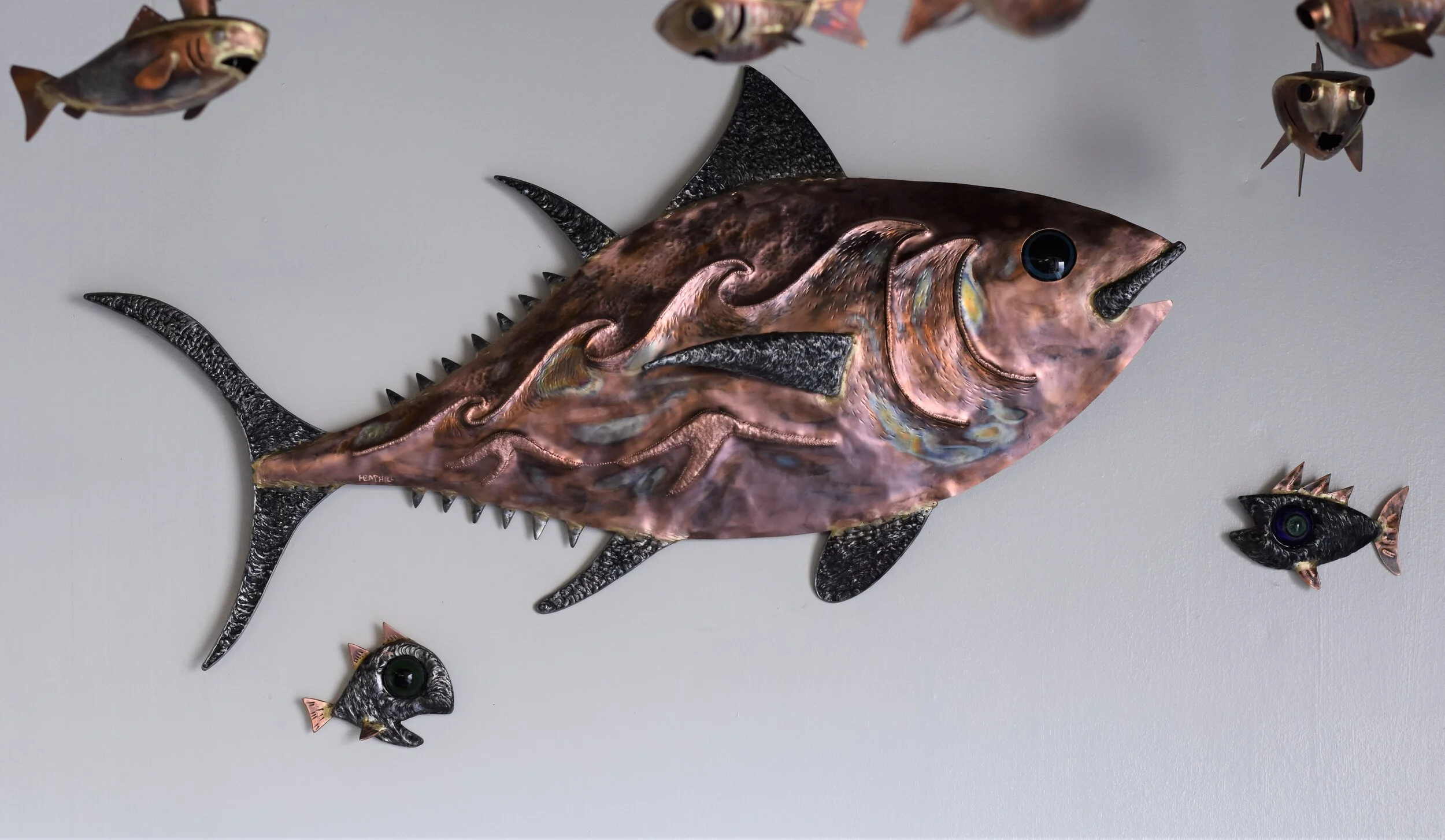 Big Eye tuna &amp; small big eye fish