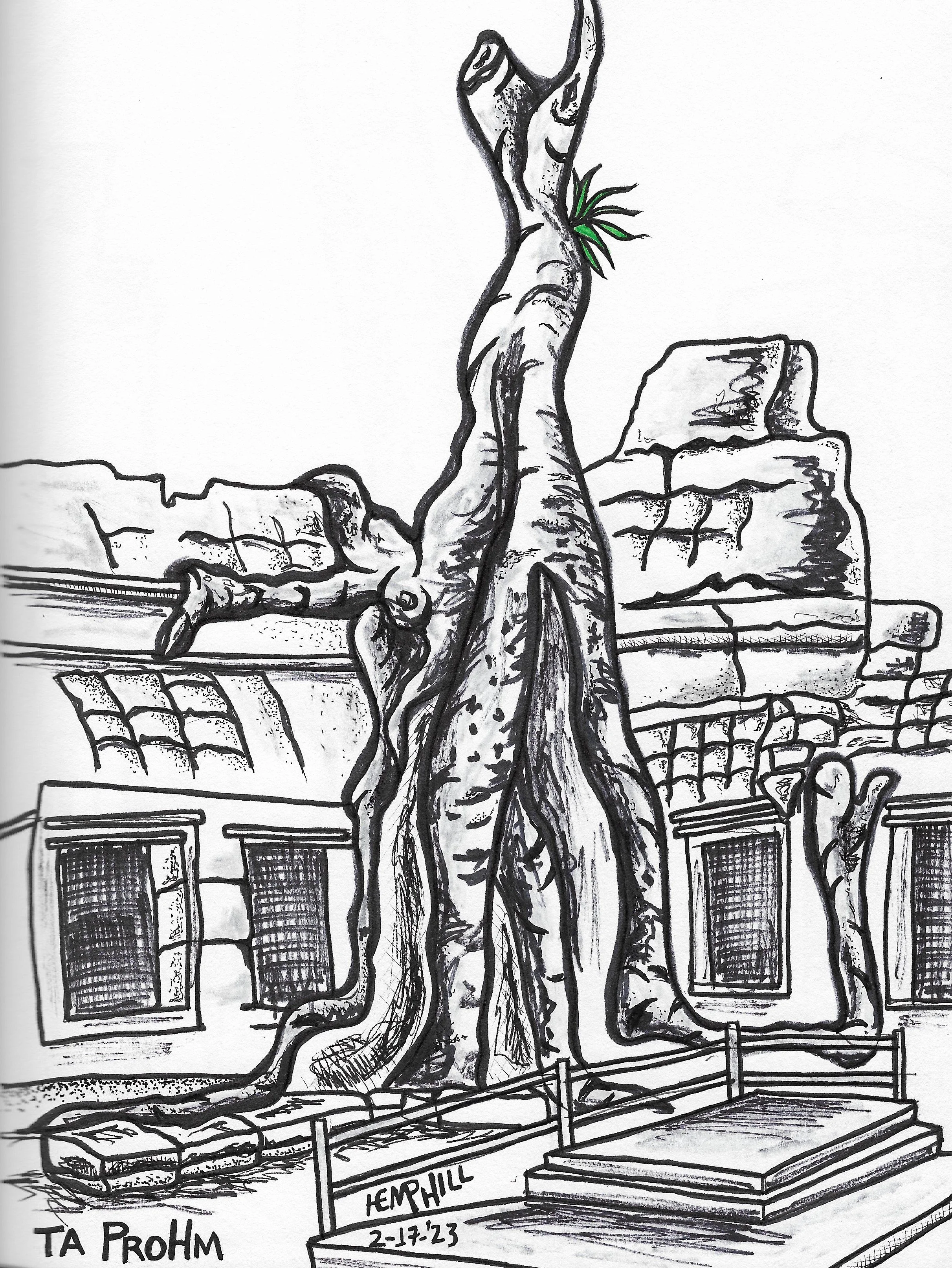 We went back second day in a row, first thing no one around, perfect time. Just you and the birds.