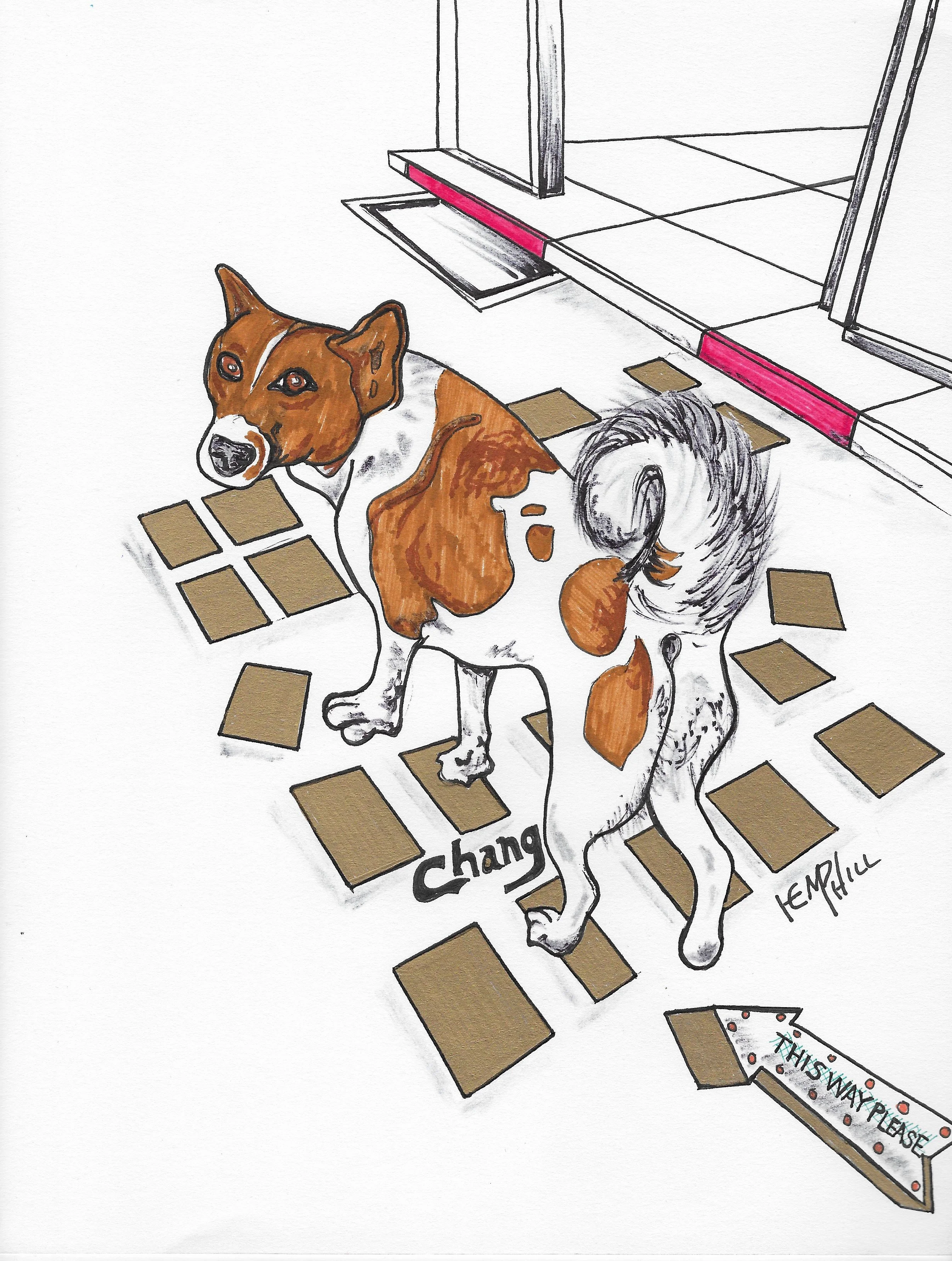 Chang Dog will be your host this show. This guy followed me maybe 5 steps no chow dog be gone.