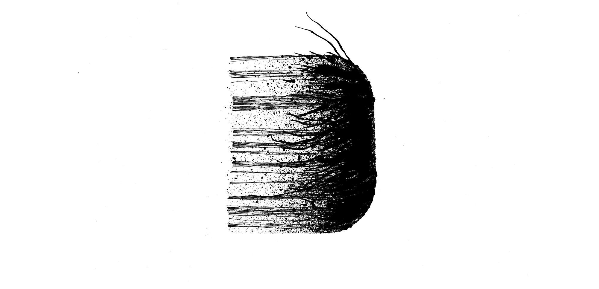 RS_Bold_D.png