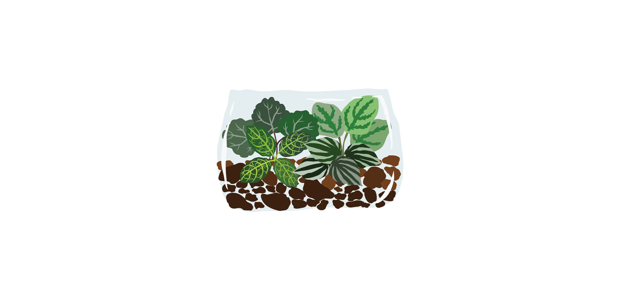 Additional_Samples_Gro_App_Plant_Illustrations_10.png