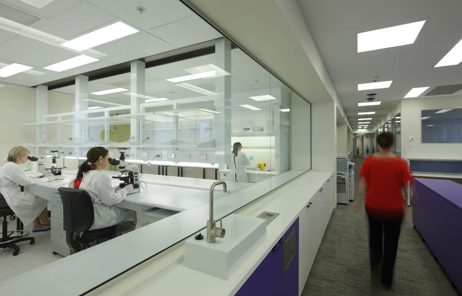 Galipolli Lab_010.jpg