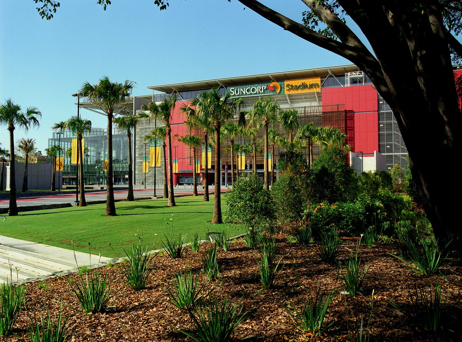 Suncorp Stadium-01.jpg