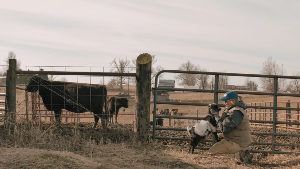Loyal to local - Spot Farms