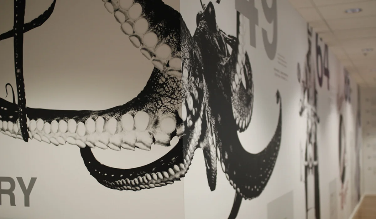 Historical Timeline Hall