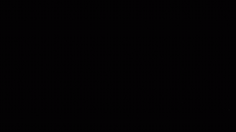 SnowNation_2.gif