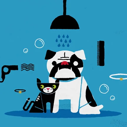PETCO_FLEAS1.jpg