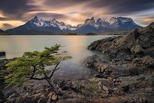 DPW Patagonia Workshop Website Images-3.jpg