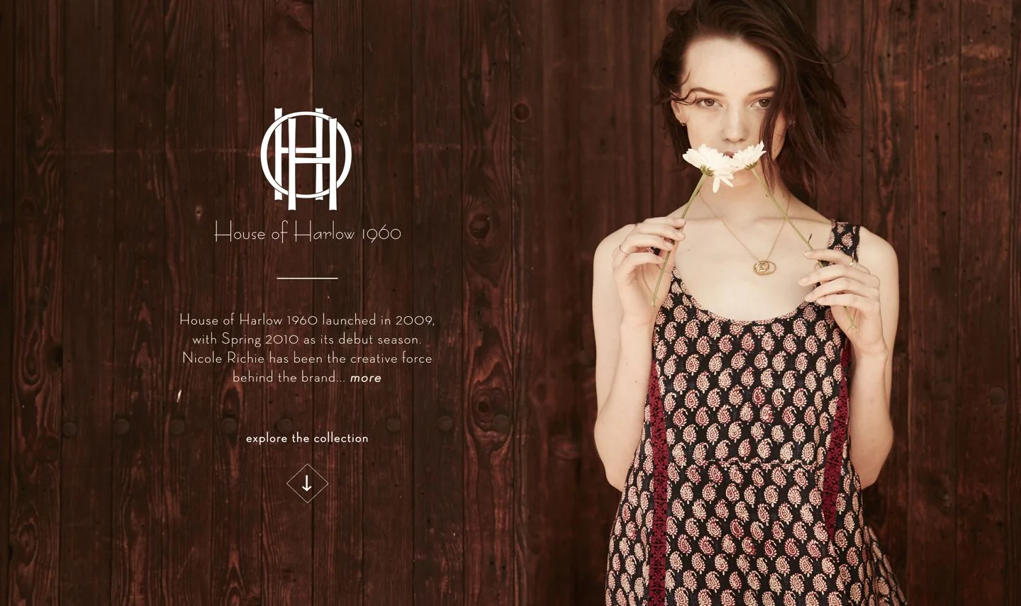 hoh-top-header-bg.jpg