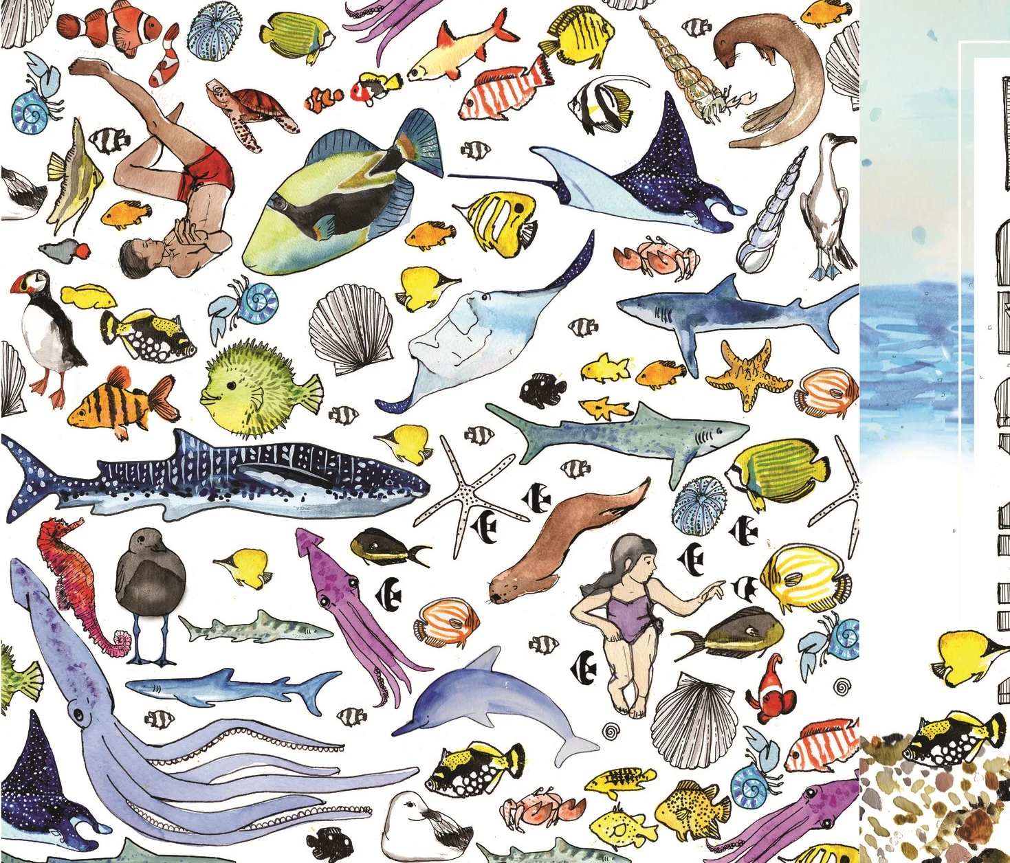 NUMBER BOOK-COVER-01.jpg