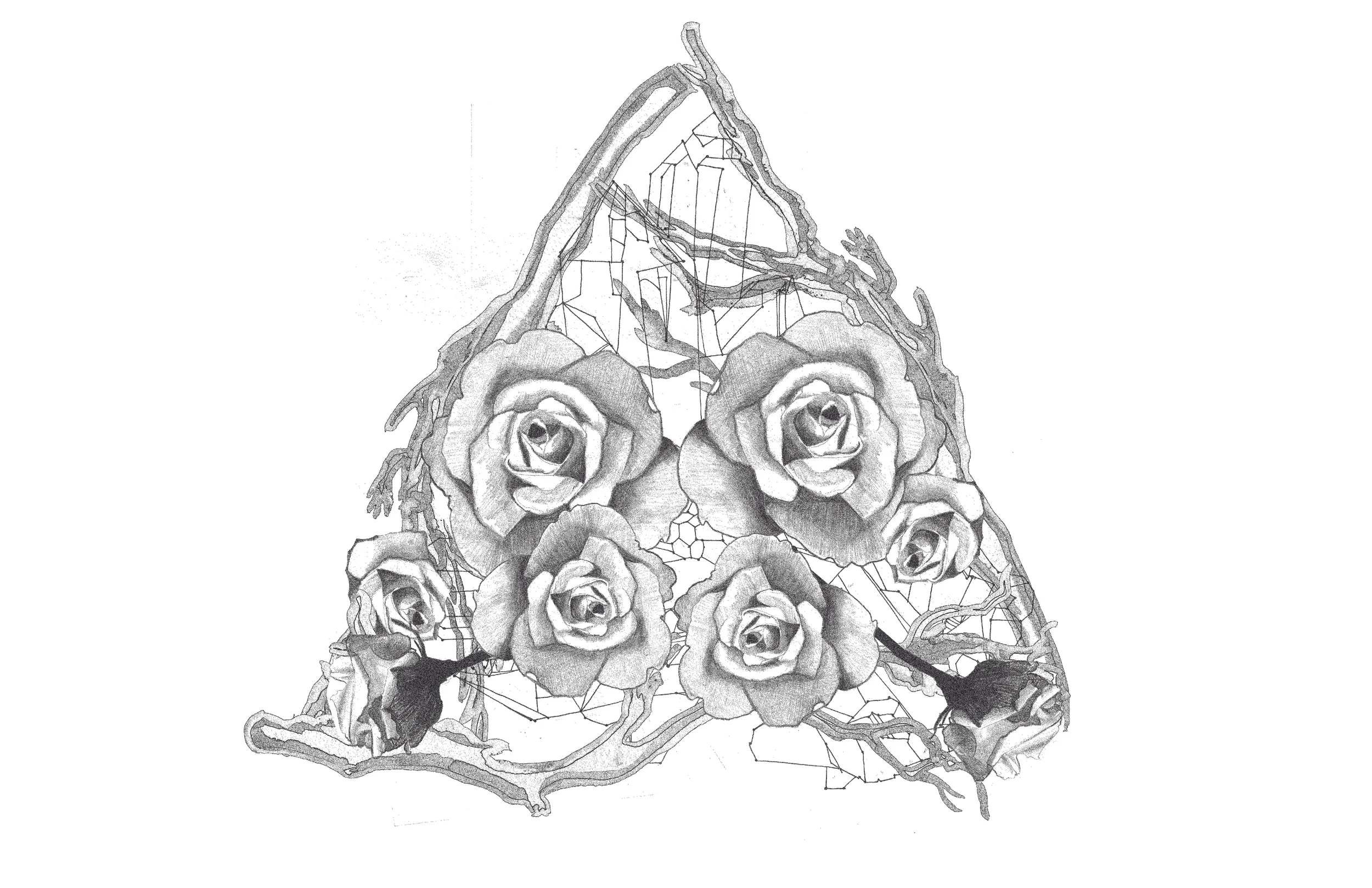 1365-MIRRORED ROSES-B-01.jpg