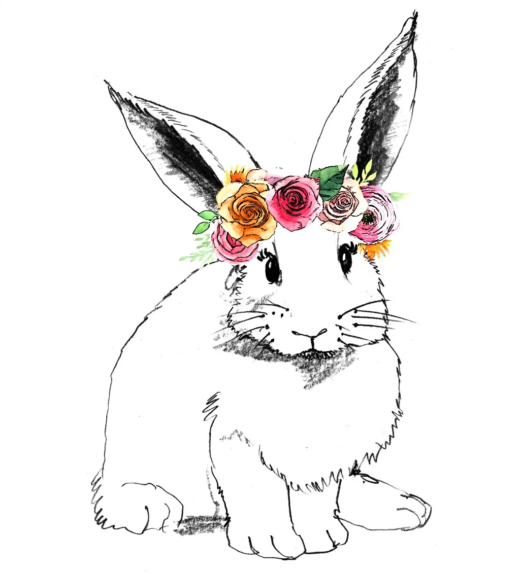 BUNNY-GRAPHIC.jpg