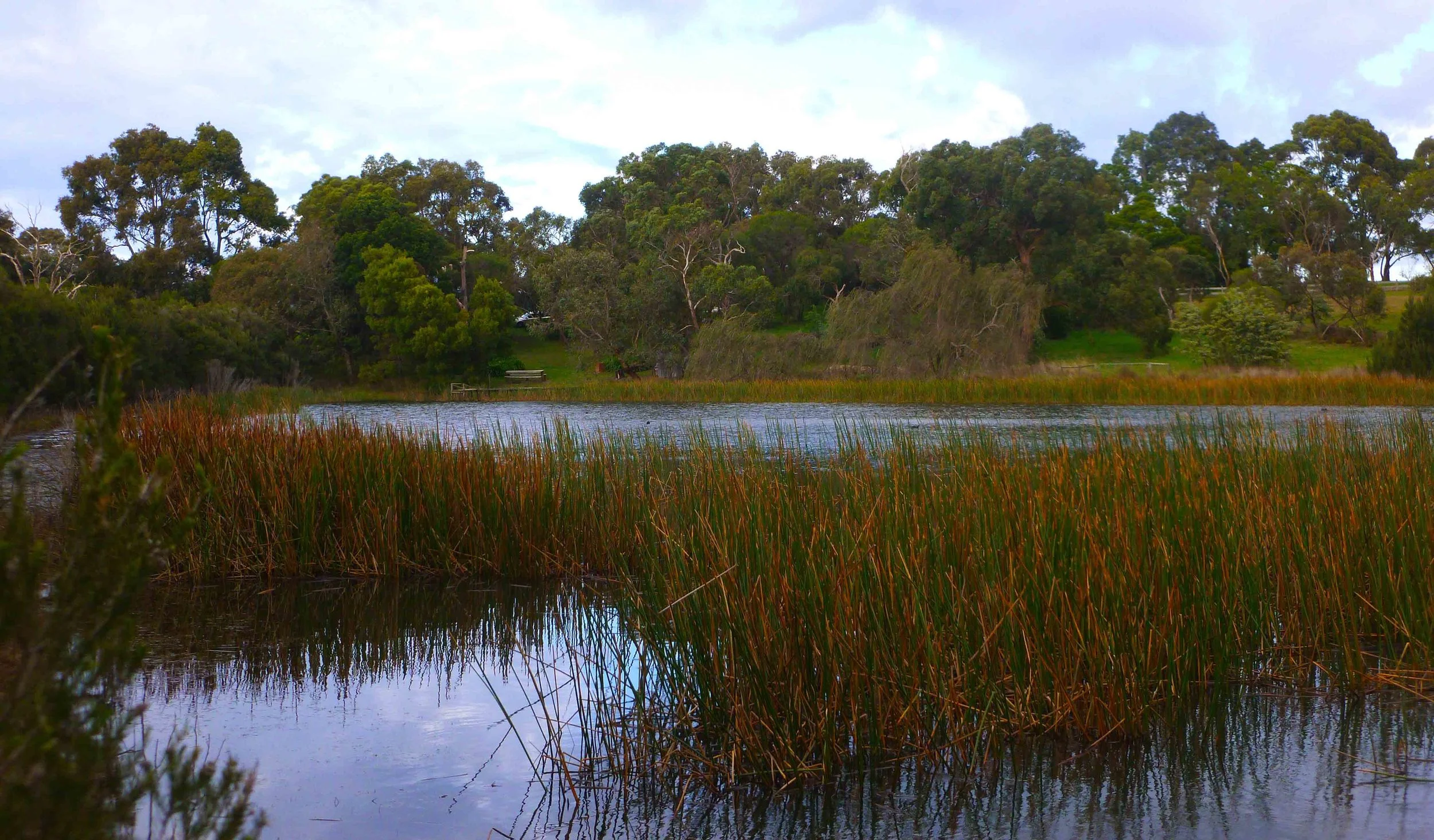 LakeWinter4.jpg