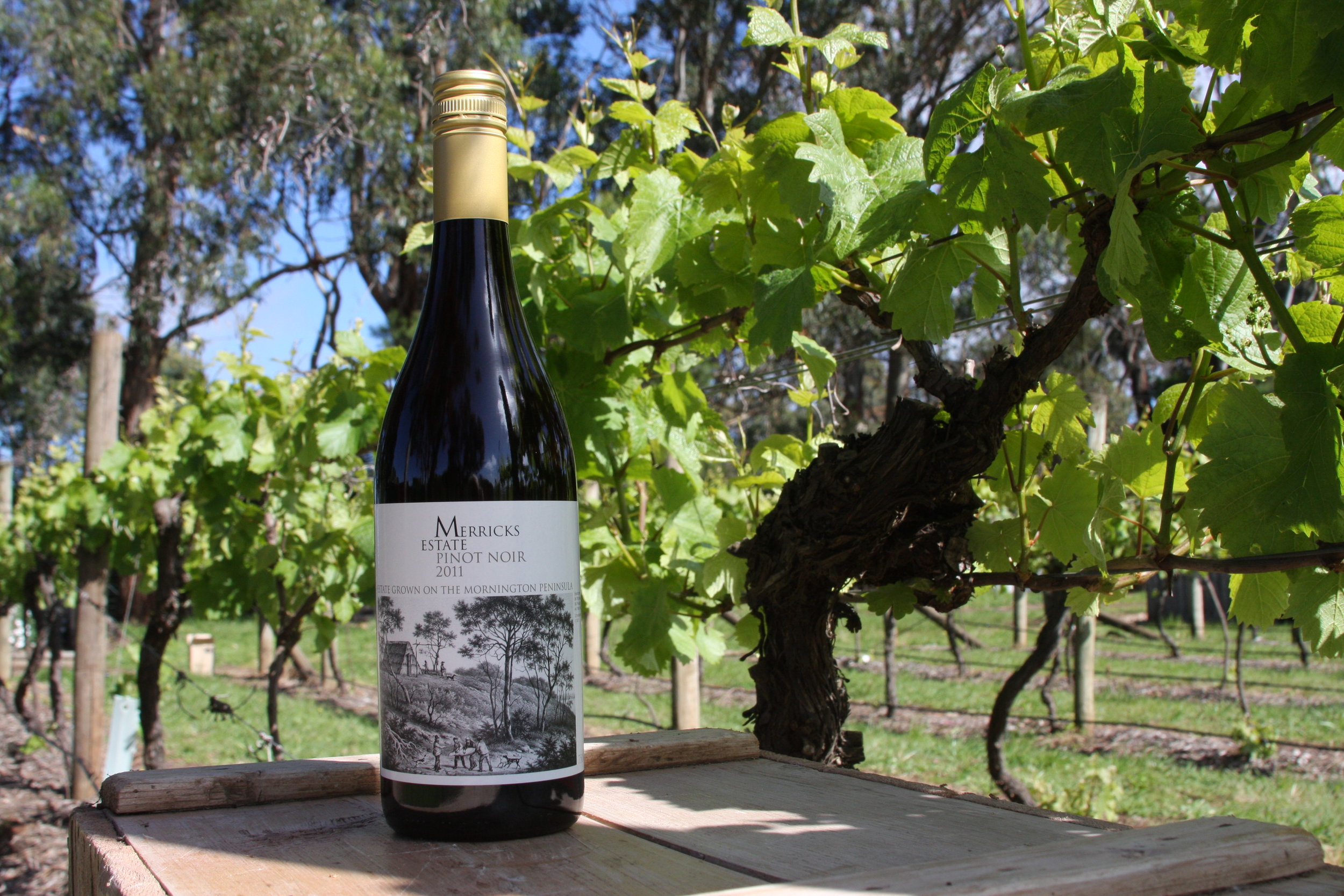 ME 2016 'Pinot Noir of the Year' Australia & New Zealand Winestate Wine ...