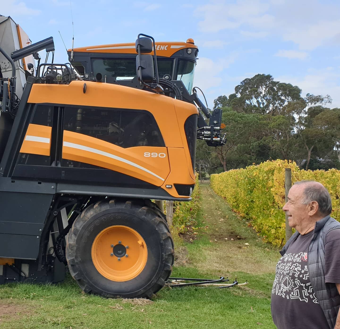 For the first time ever, George is trying a Rose harvest using this massive French Harvester. 🍇🍇🍇🍇