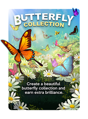 Butterfly Collection Event