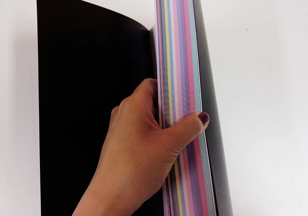 Every year— every section is represented by a different color. 