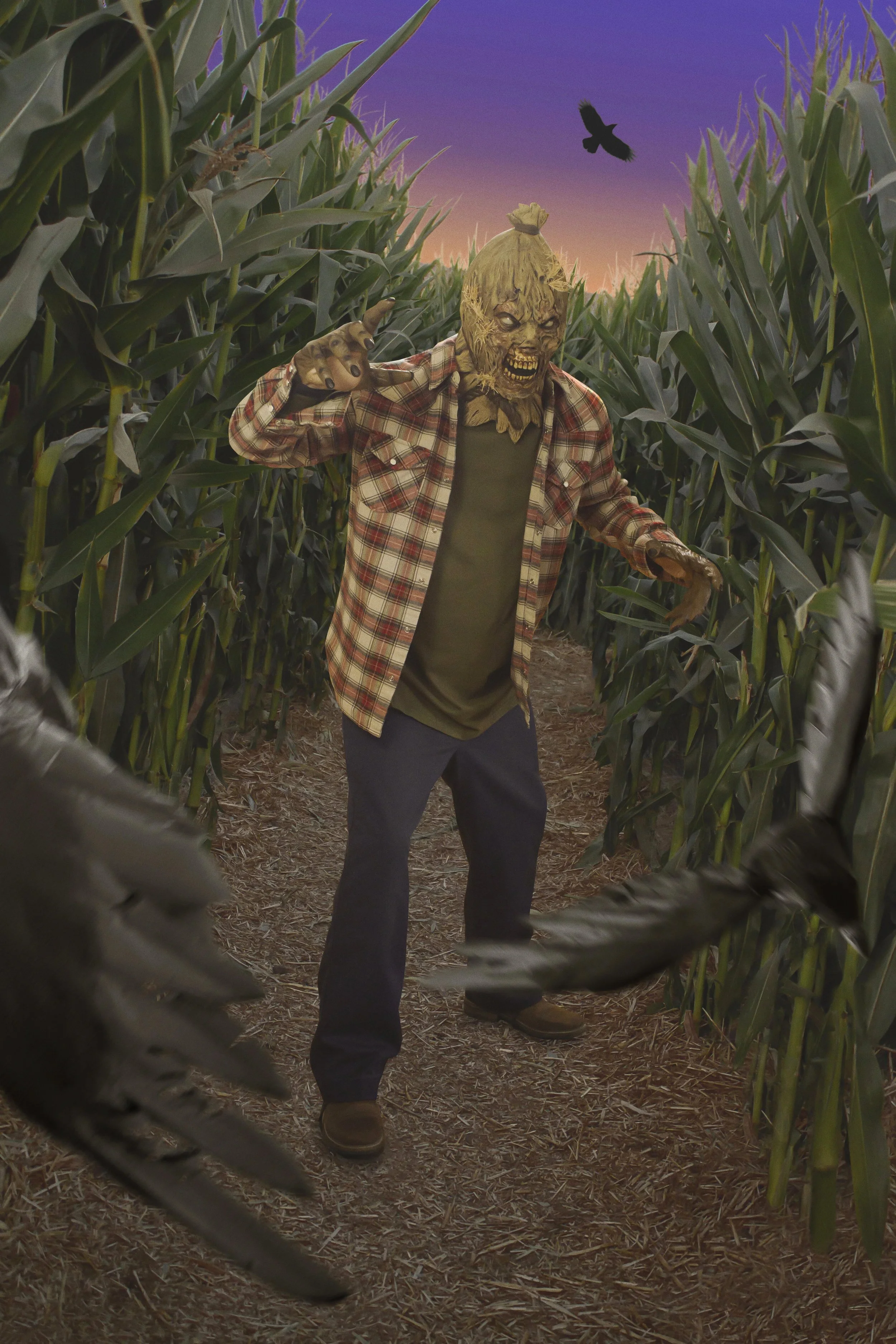 scarecrow.jpg