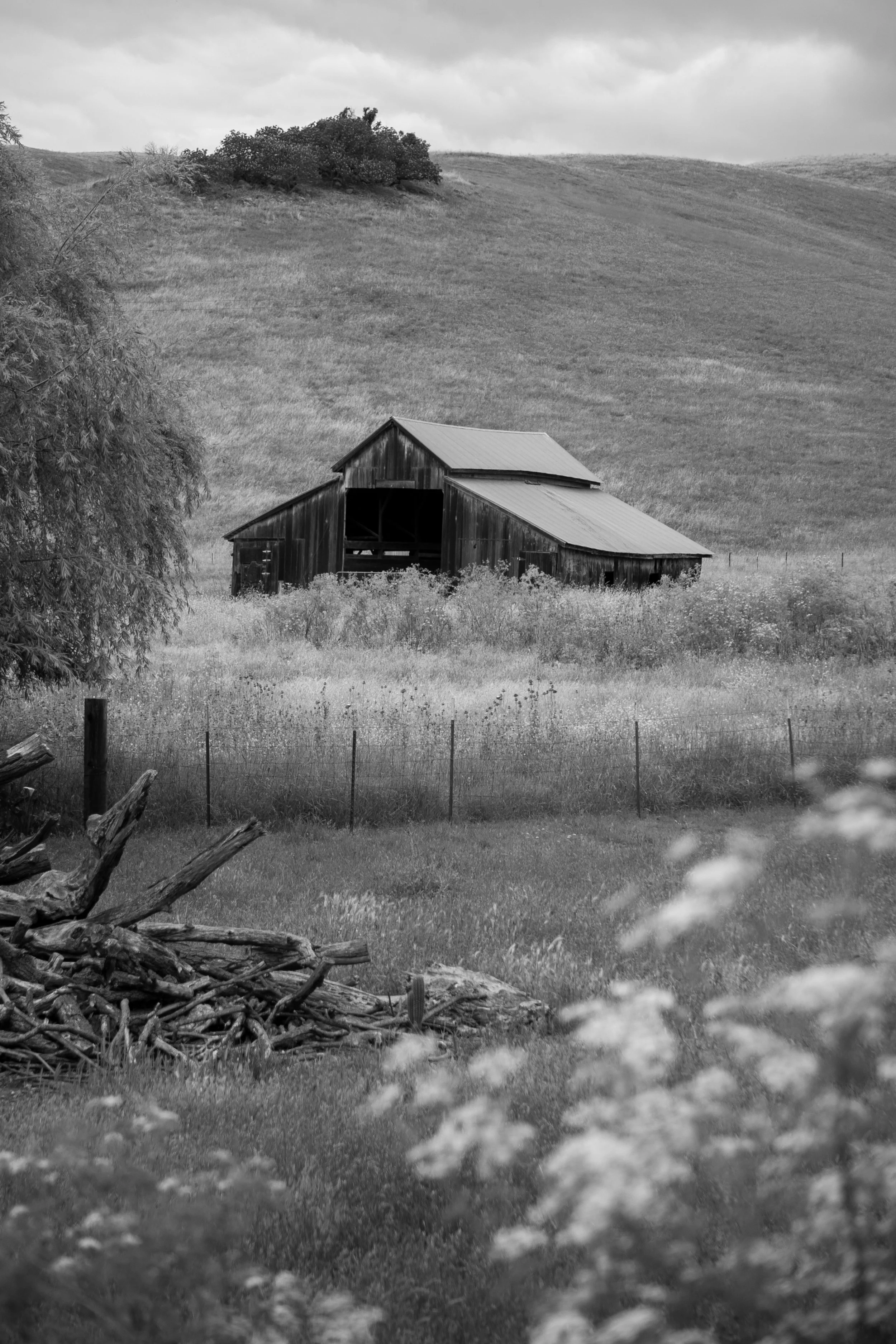 barn.jpg