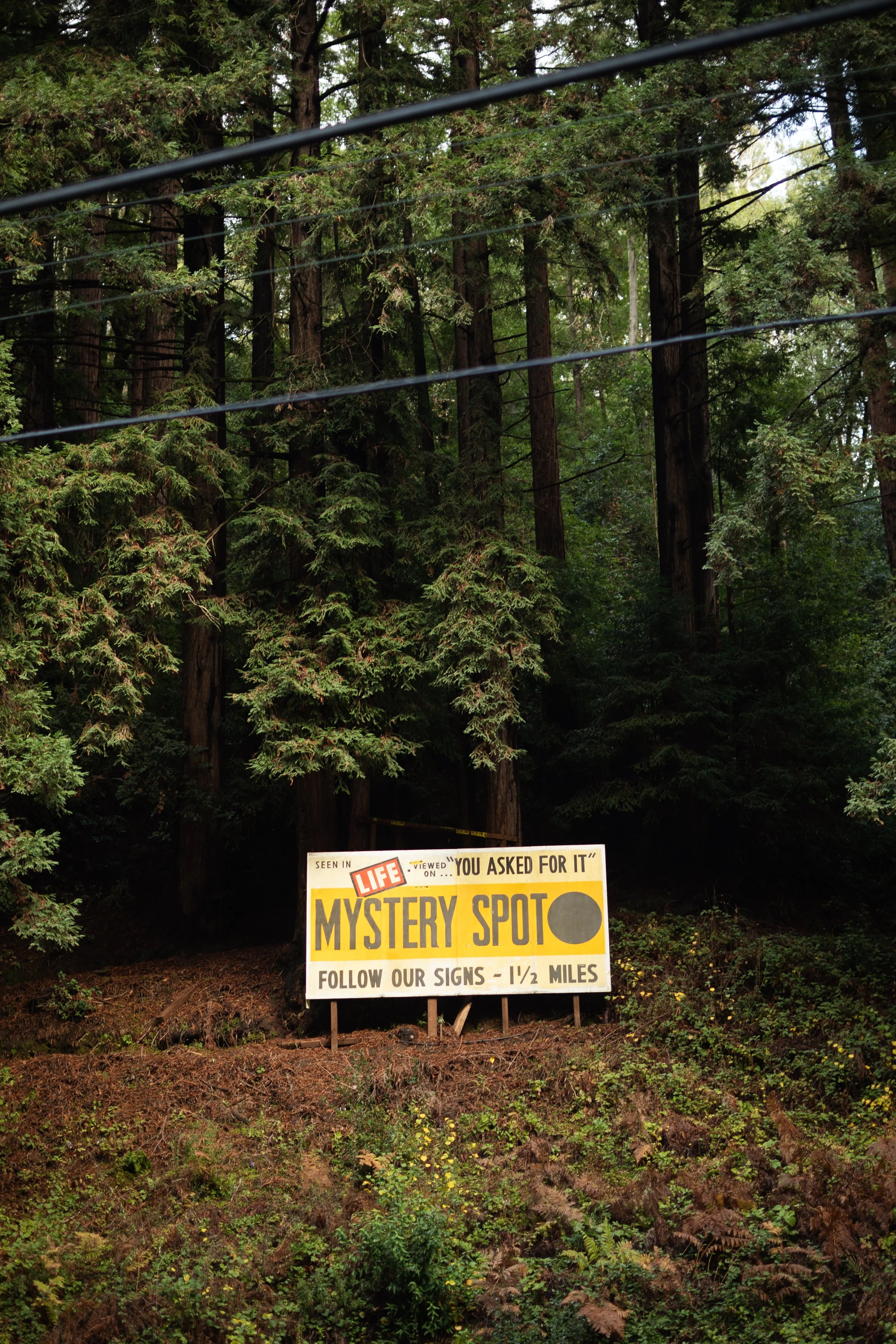mystery.jpg