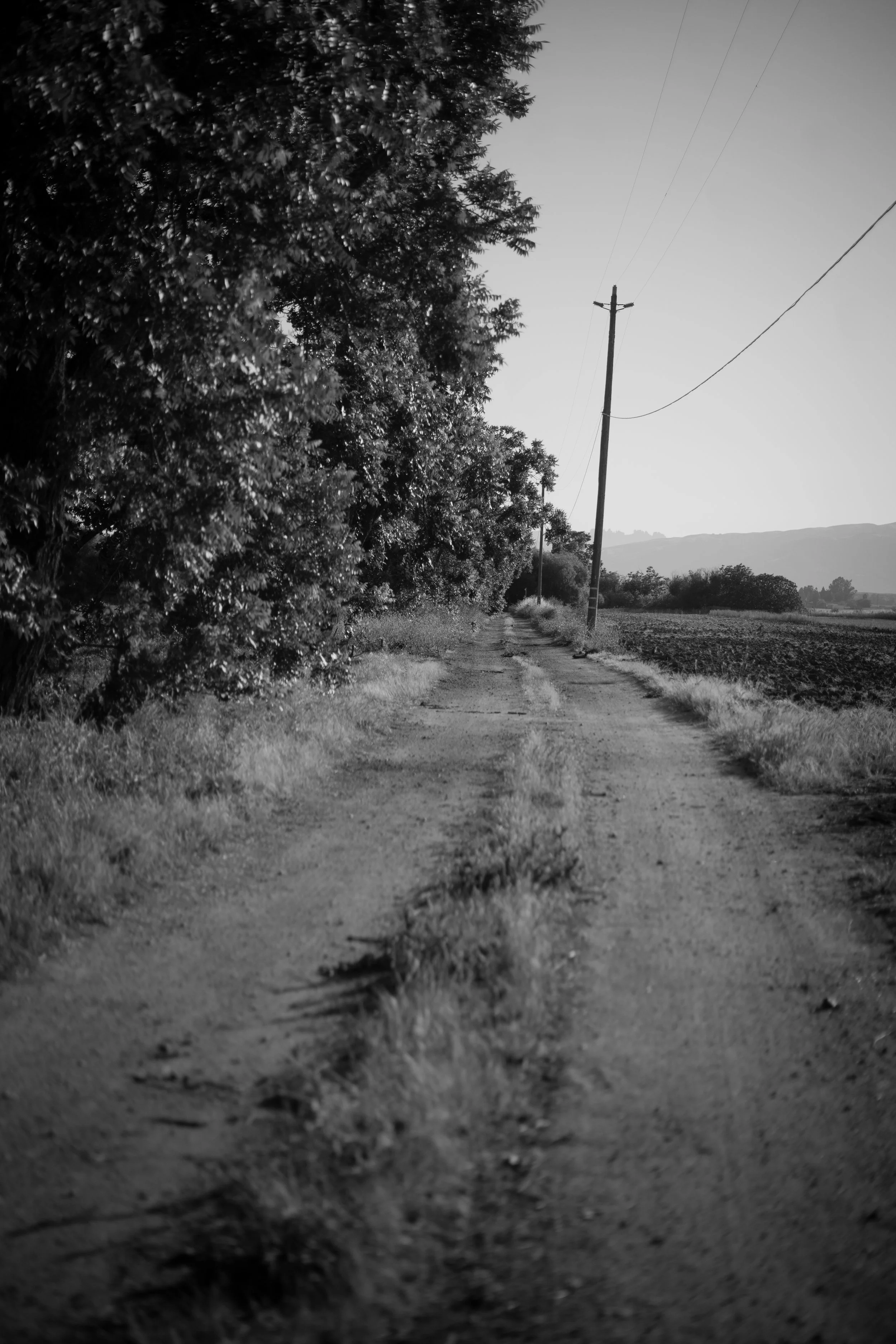 road.jpg