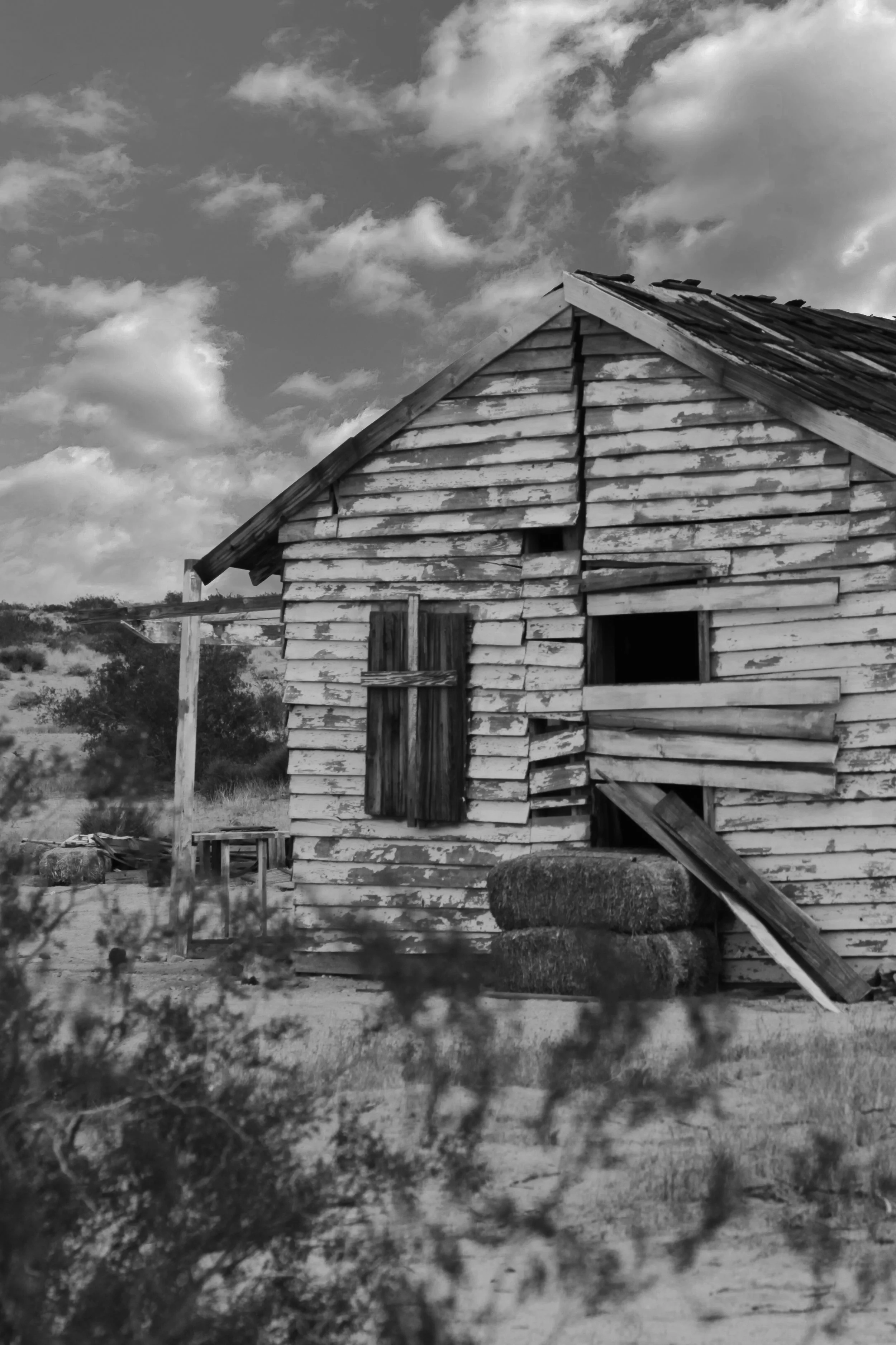 shed.jpg